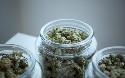 Medical Marijuana in Ohio