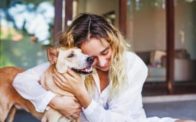 Pet Trusts: How to Ensure Your Furry Companion is Taken Care Of