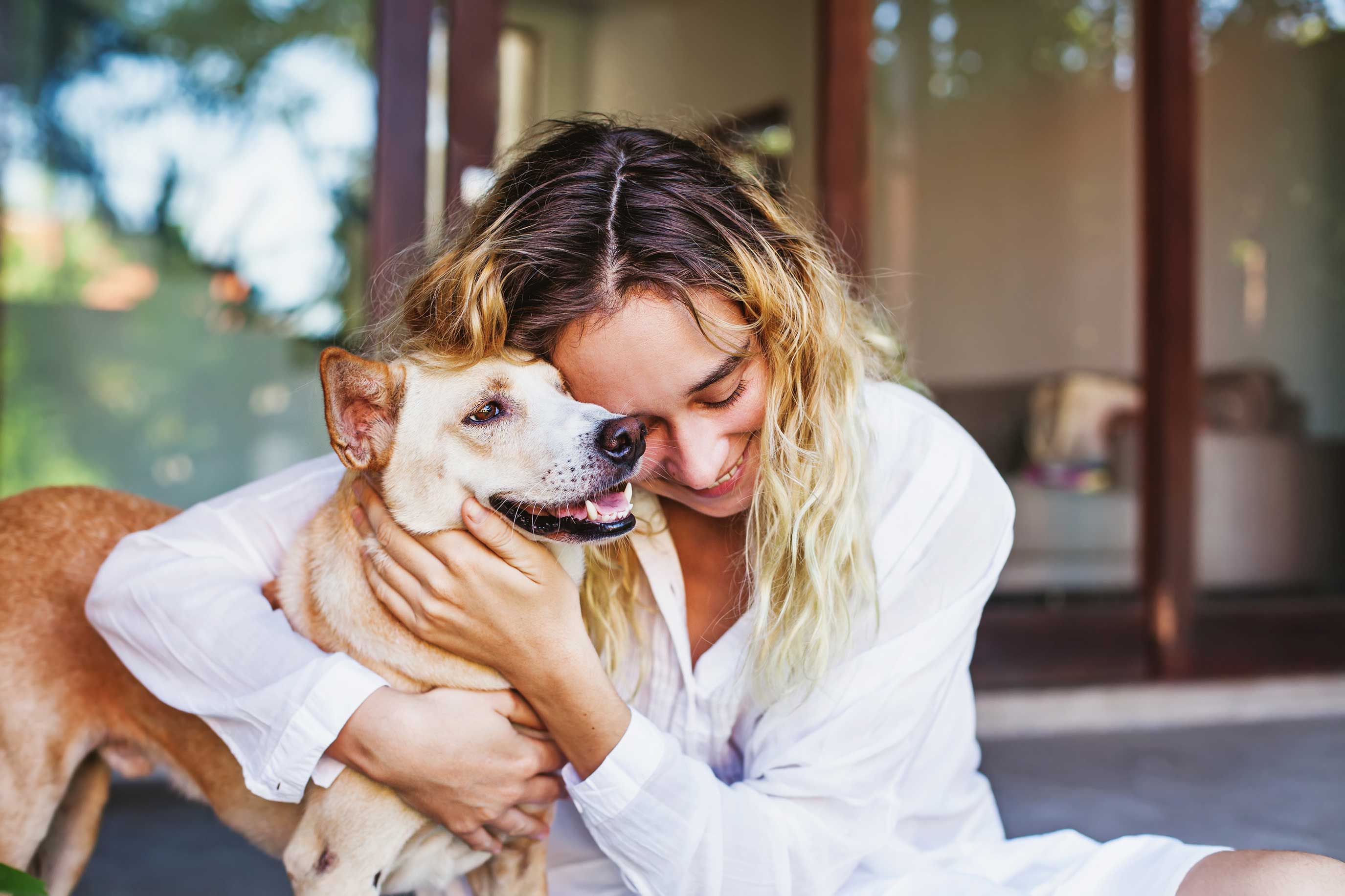 Pet-trust Pet Trust
